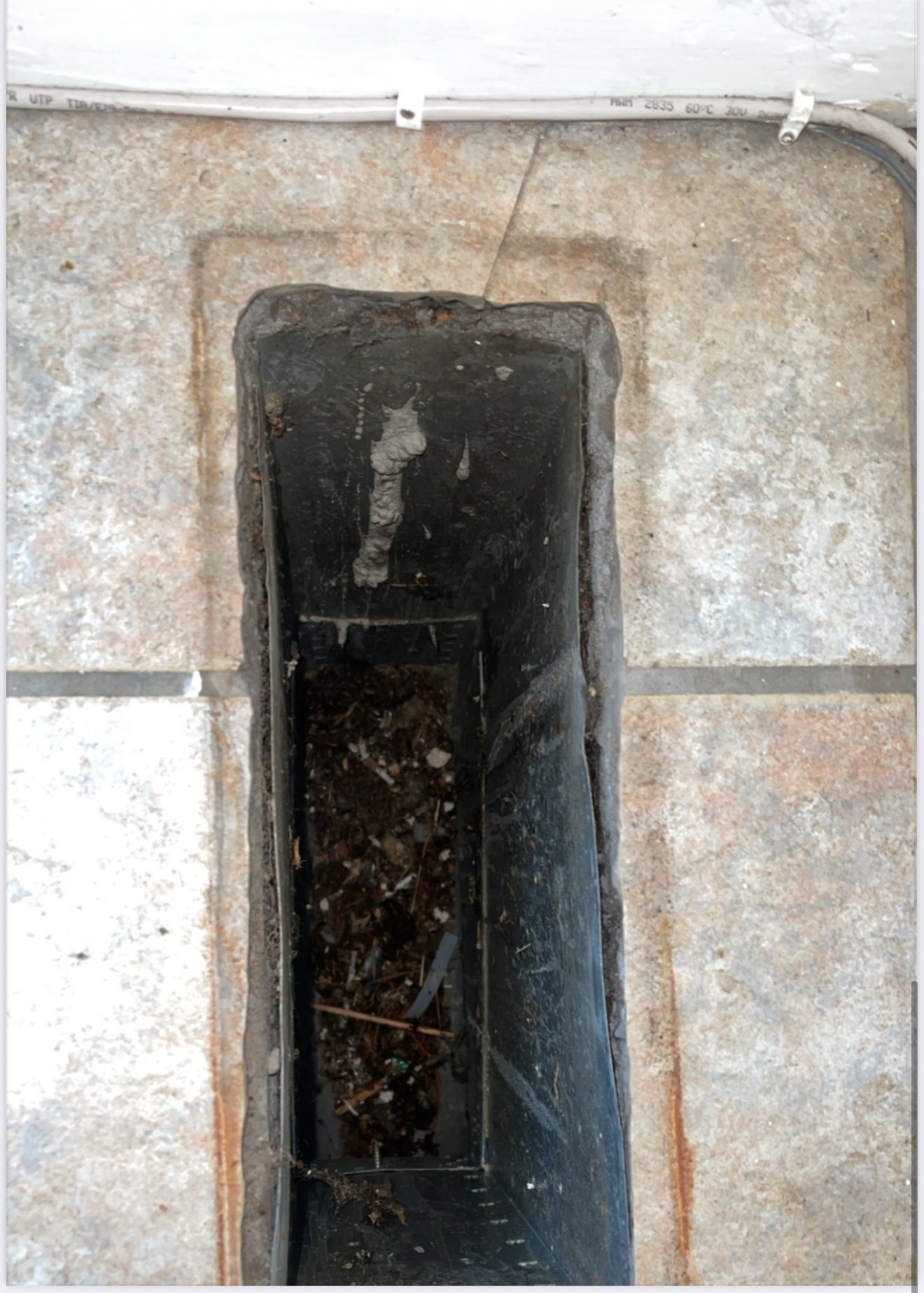Before image